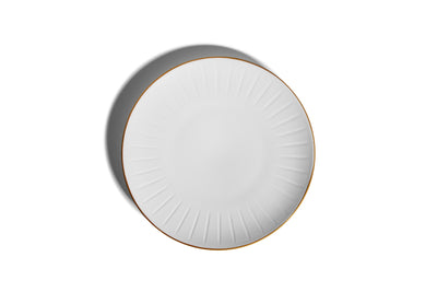 Set of 2 Dinner Plates
