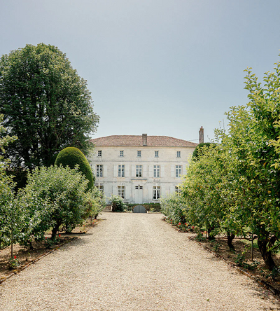 LOUIS XIII Introduction